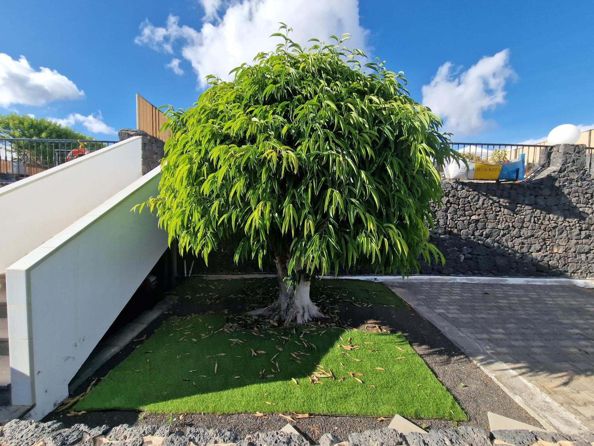 Villa Juanita, Puerto Del Carmen, Lanzarote 蒂亚斯 外观 照片